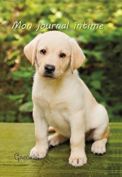 Bertrand.pt - Journal Intime Chiot
