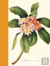 Journal : Plumeria