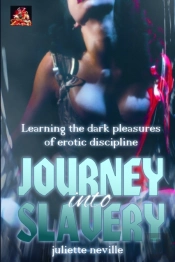 Journey Into Slavery