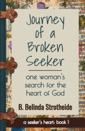Journey Of A Broken Seeker