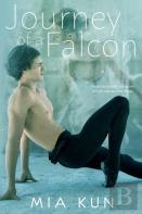 Journey Of A Falcon