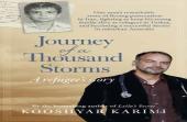Journey Of A Thousand Storms