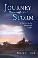 Journey Through The Storm