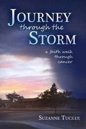 Journey Through The Storm