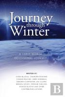 Journey Through Winter