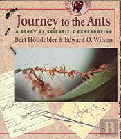 Journey To The Ants