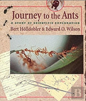Journey To The Ants