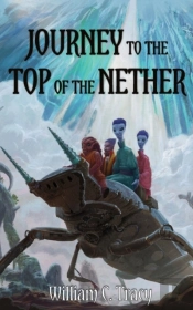 Journey To The Top Of The Nether