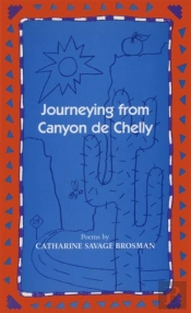Journeying From Canyon De Chelly