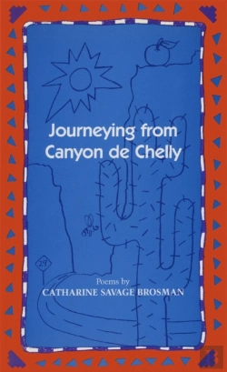 Bertrand.pt - Journeying From Canyon De Chelly