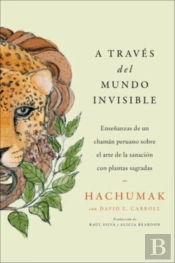 Journeying Through The Invisible \  A Traves Del Mundo Invisible (Sp. Ed.)