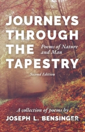 Journeys Through The Tapestry