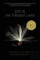 Joy Is The Thinnest Layer