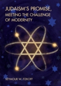 Bertrand.pt - Judaismâ€™S Promise, Meeting The Challenge Of Modernity