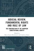 Judicial Review, Fundamental Rights And Rule Of Law