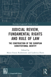 Judicial Review, Fundamental Rights And Rule Of Law