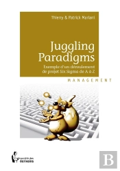 Juggling Paradigms ; Exemple D'Un Déroulement De Projet Six Sigma De A À Z