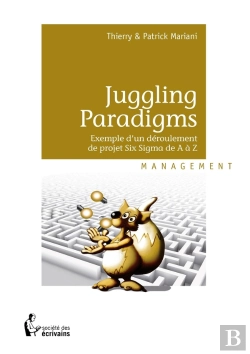 Bertrand.pt - Juggling Paradigms ; Exemple D'Un Déroulement De Projet Six Sigma De A À Z