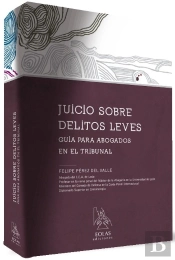 Juicio Sobre Delitos Leves