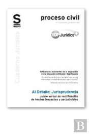 Juicio Verbal De Rectificación De Hechos Inexactos Y Perjudiciales