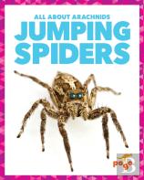 Jumping Spiders