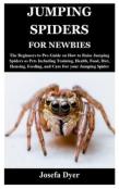 Jumping Spiders For Newbies