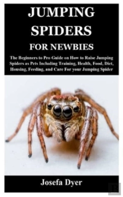 Bertrand.pt - Jumping Spiders For Newbies