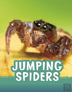 Bertrand.pt - Jumping Spiders