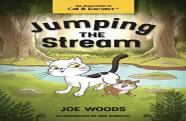 Jumping The Stream
