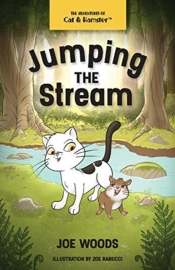 Jumping The Stream