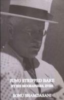 Jung Stripped Bare