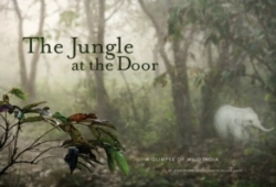 Bertrand.pt - Jungle At The Door