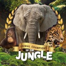 Jungle