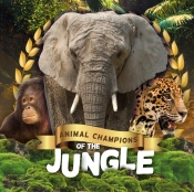 Jungle