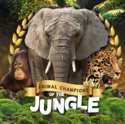 Bertrand.pt - Jungle