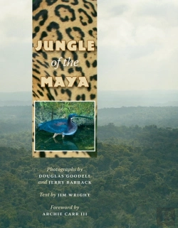 Bertrand.pt - Jungle Of The Maya