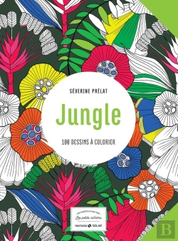 Bertrand.pt - Jungle ; Petit Cahier Harmonie