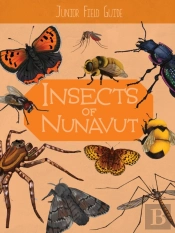 Junior Field Guide: Insects Of Nunavut