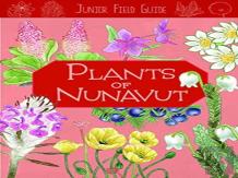 Junior Field Guide: Plants Of Nunavut