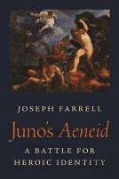 Juno'S Aeneid