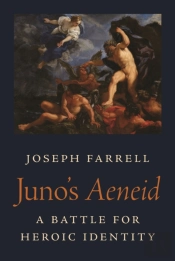Juno'S Aeneid