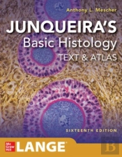 Junqueira'S Basic Histology: Text And Atlas, Sixteenth Edition