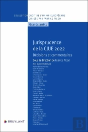 Jurisprudence De La Cjue 2022 : Décisions Et Commentaires