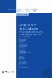 Jurisprudence De La Cjue 2024 : Décisions Et Commentaires