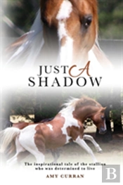 Just A Shadow