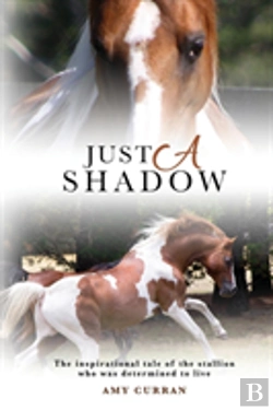 Bertrand.pt - Just A Shadow