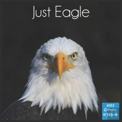 Bertrand.pt - Just Eagle 2022 Calendar
