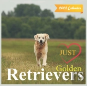 Just Golden Retrievers Calendar 2022