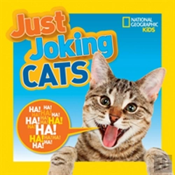 Bertrand.pt - Just Joking Cats