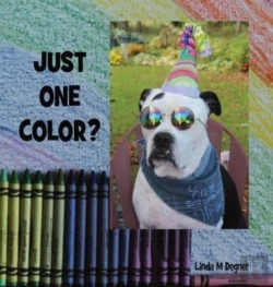 Bertrand.pt - Just One Color?